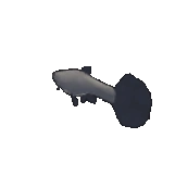 Fishing Items